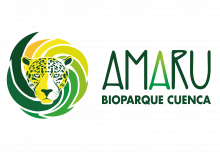 amaru